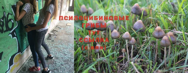 гидра Заволжье