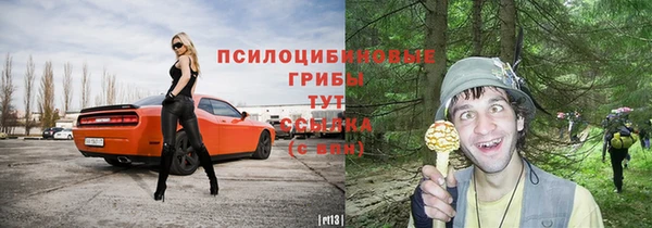 прущие крисы Заводоуковск