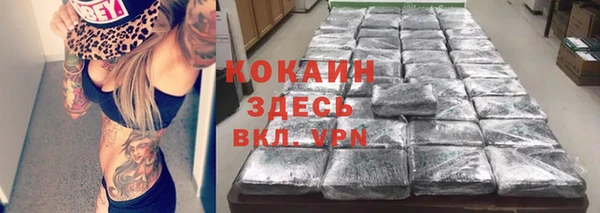 прущие крисы Заводоуковск