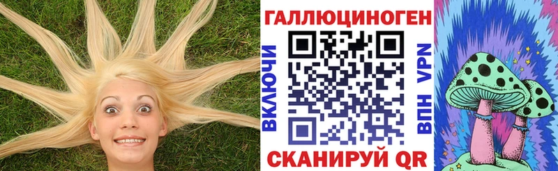 Псилоцибиновые грибы Psilocybe  Купить закладки  Избербаш 